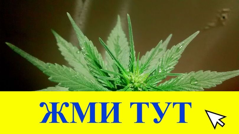 Купить наркотики в Тырныаузе